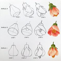 an image of how to draw flowers step by step