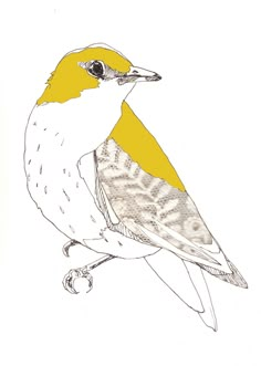 a drawing of a yellow and white bird