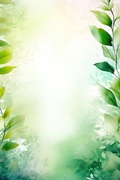 an image of green leaves on a blurry background