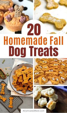 homemade fall dog treats with the title overlay that reads 20 homemade fall dog treats