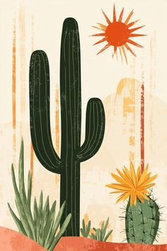 a cactus and sun are in the desert