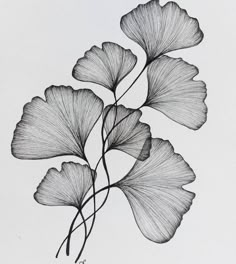 a black and white drawing of two ging sprouts with long thin stems