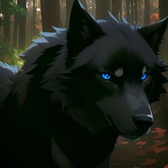 a black wolf with blue eyes standing in the middle of a forest filled with trees