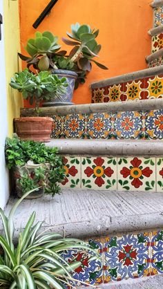 colorful tile steps with potted plants on them