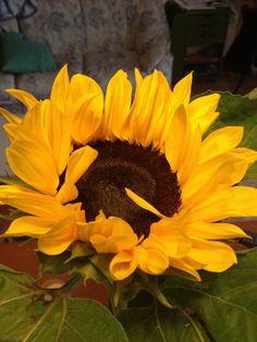 a large yellow sunflower sitting on top of a table