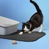 a black and white cat standing on top of a mat