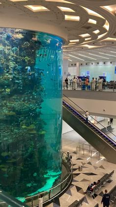 an aquarium in the middle of a large building