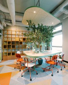 a table with chairs and a potted plant in it