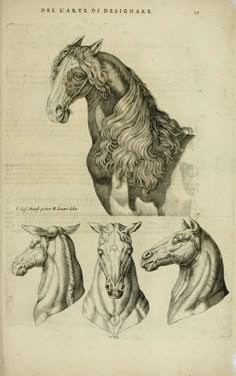 three drawings of horses with long manes