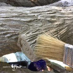 a close up of a brush on a rock