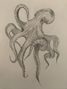 an ink drawing of an octopus