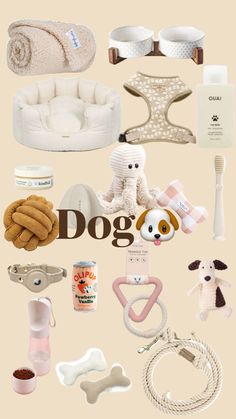 there are many different items that can be found in the dog's kennel