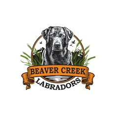 the logo for beaver creek labradors