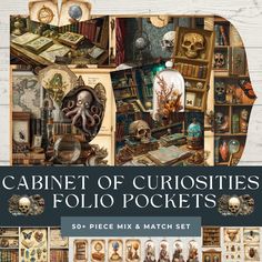 the book cover for cabinet of curioities follo pockets 50 piece mix and match set