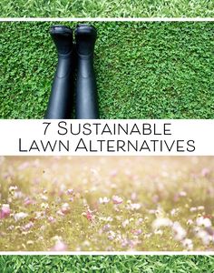 two photos with the words 7 sustainable lawn alternatives on them, and an image of grass