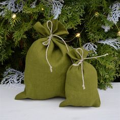 two green bags sitting next to each other in front of a christmas tree