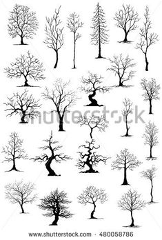 black and white tree silhouettes set with snow on the ground, trees in winter