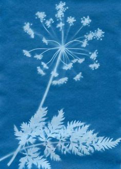 a drawing of a dandelion blowing in the wind with snow flakes on it