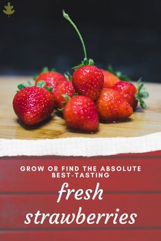 strawberries on a cutting board with the words grow or find the absolute best - tasting fresh strawberries