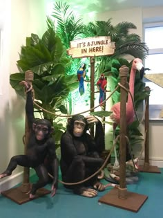 three chimpi monkeys sitting in front of a sign that says it's a jungle in here