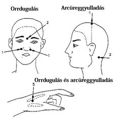 141173_2 Reflexology, Body Health, Anatomy, Van, Health