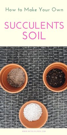 three bowls with soil in them and the words how to make your own succulents