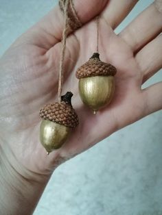 two acorns are hanging from twine strings in the palm of someone's hand