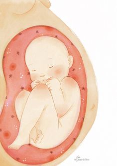 a drawing of a baby laying in a pink oval frame with stars on the sides