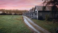 a row of houses sitting on top of a lush green field next to a dirt road