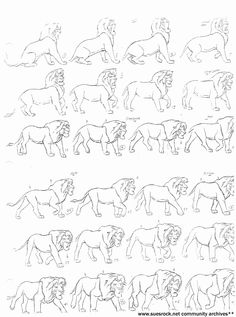 an image of lions in different positions and sizes on a white sheet with black ink