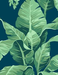 a plant with green leaves on a dark blue background is featured in this image, it appears to be an illustration