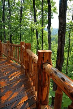 a wooden walkway in the woods with lots of trees