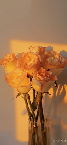 some yellow roses are in a glass vase