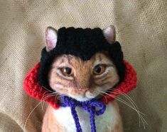 a cat wearing a knitted hat and scarf