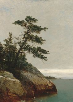 an oil painting of a tree on top of a rocky outcropping next to the ocean