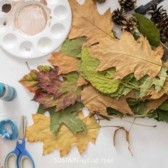 autumn leaves, pine cones and scissors on a table with supplies to make an acrylic painting