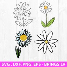 three daisies and one flower on a white wooden background with the text svg dxf png eps - brings lv