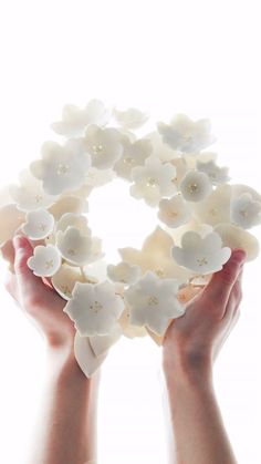 two hands holding white flowers in the shape of a wreath on a white background photo