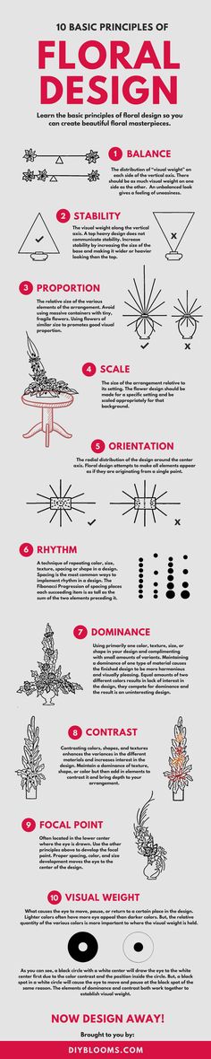 an info sheet describing the different types of aircrafts