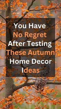 Falldecor Decorating Ideas Indoor, Autumn House Decor, Autumn Decorations Indoor, Autumn Home Decor Ideas, Autum Decorations, Cozy Autumn Home, Autumn Cottage, Decorating For Fall, Rustic Bedroom Design