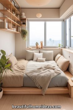 a bed sitting under a window next to a wooden shelf filled with potted plants