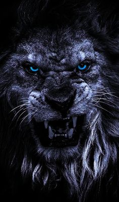 a close up of a lion's face with bright blue eyes and black fur