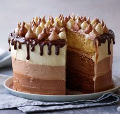 a chocolate and vanilla cake with one slice cut out