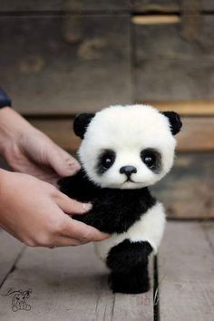 a stuffed panda bear being held by someone