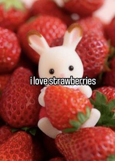 a small toy rabbit sitting on top of strawberries with the words i love strawberries