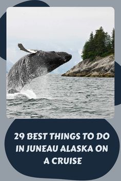 29 Best Things to Do in Juneau Alaska on a Cruise Alaska Cruise Tips, Juneau Alaska, Glacier Bay National Park, Bucket List Vacations, River Rafting, Alaskan Cruise, Dog Statue, Cruise Port, Places In Europe