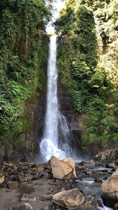 a large waterfall in the middle of a forest