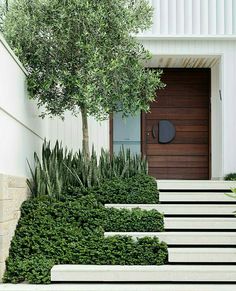 the steps are lined with plants and trees in front of the door to the house