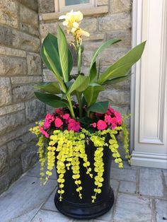 a potted plant with yellow and pink flowers