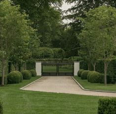 a park with trees, bushes and a bench in the middle is surrounded by hedges